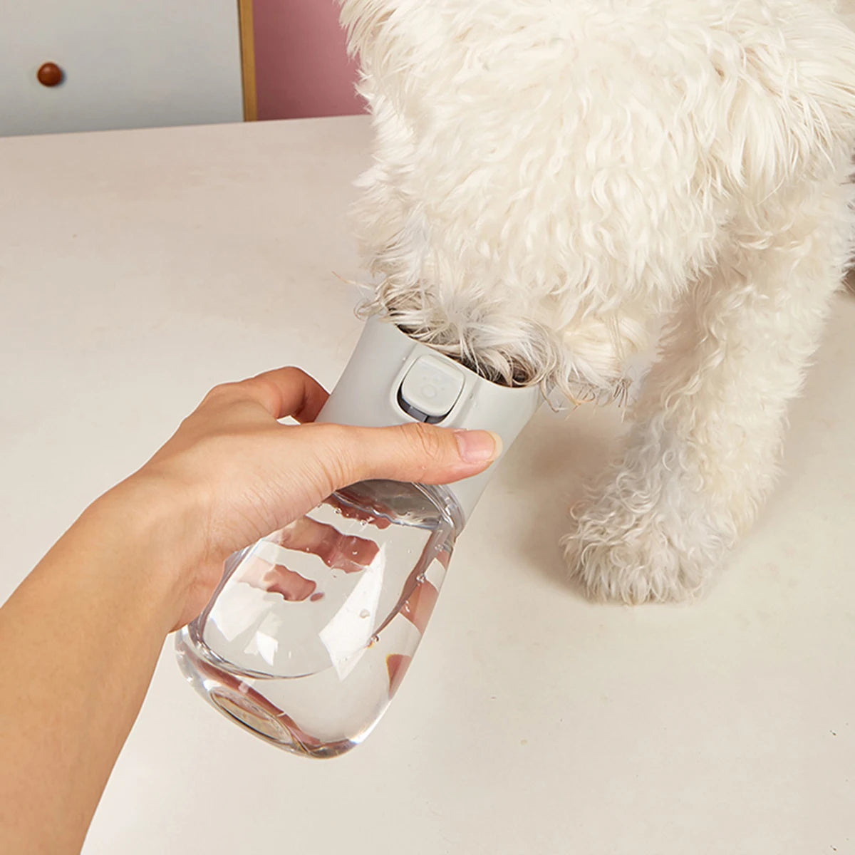 Dog Water Bottle For Small Large Dogs Cat Portable Puppy Cup Outdoor Travel Leak Proof Drinking German Shepherd Pet Supplies